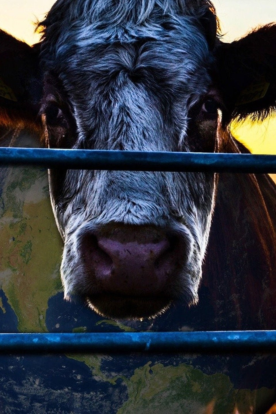 Is 'Cowspiracy' on Netflix in Australia? Where to Watch the Documentary -  New On Netflix Australia & New Zealand